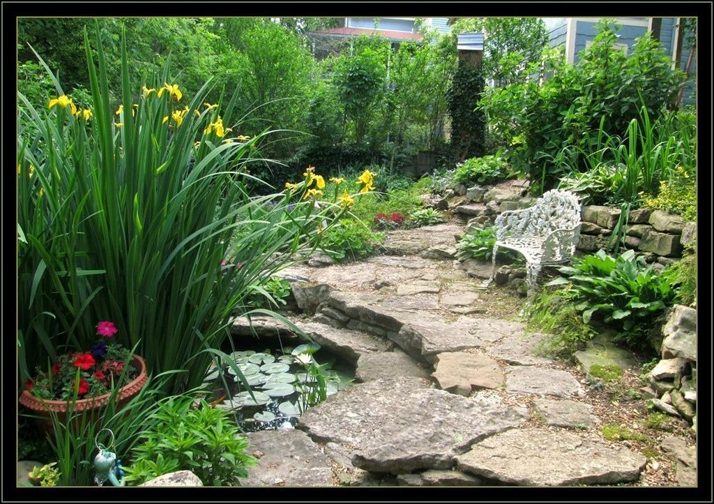 11 Singleton House B&B Юрика Спрингс Экстерьер фото